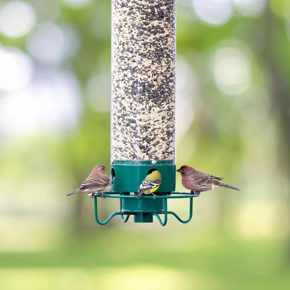 Bird Feeder Metal Squirrel Proof Hanging Outdoor Backyard Tube - Image 8