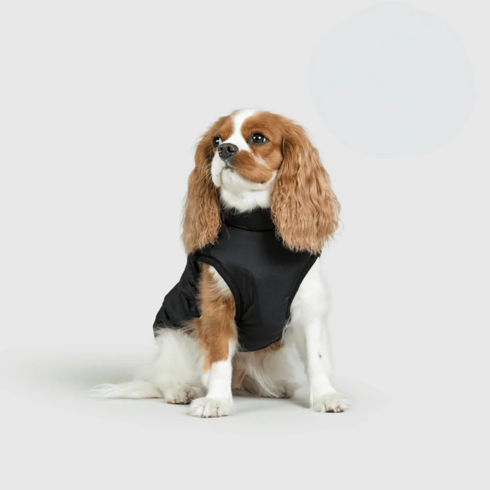 Dog Jacket Winter Outdoor Pet Coat - Image 4