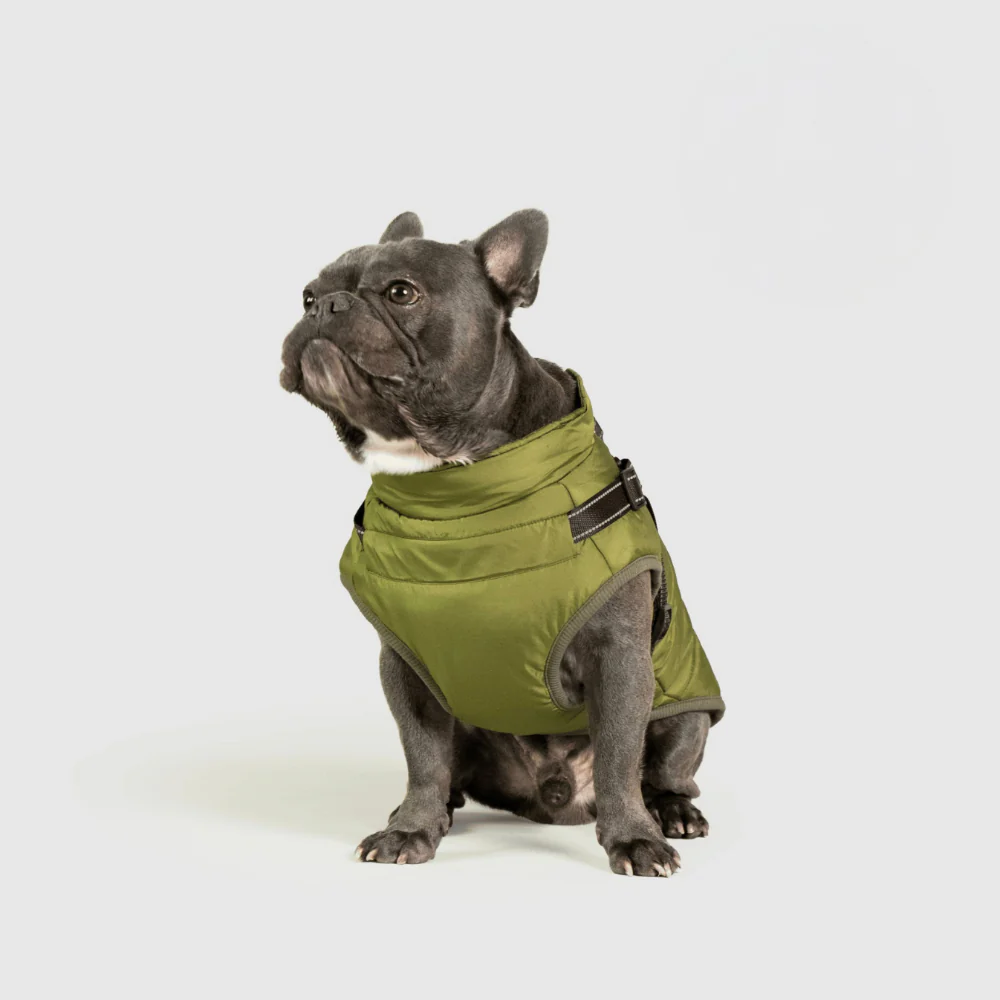 Dog Jacket Winter Outdoor Pet Coat - Image 5