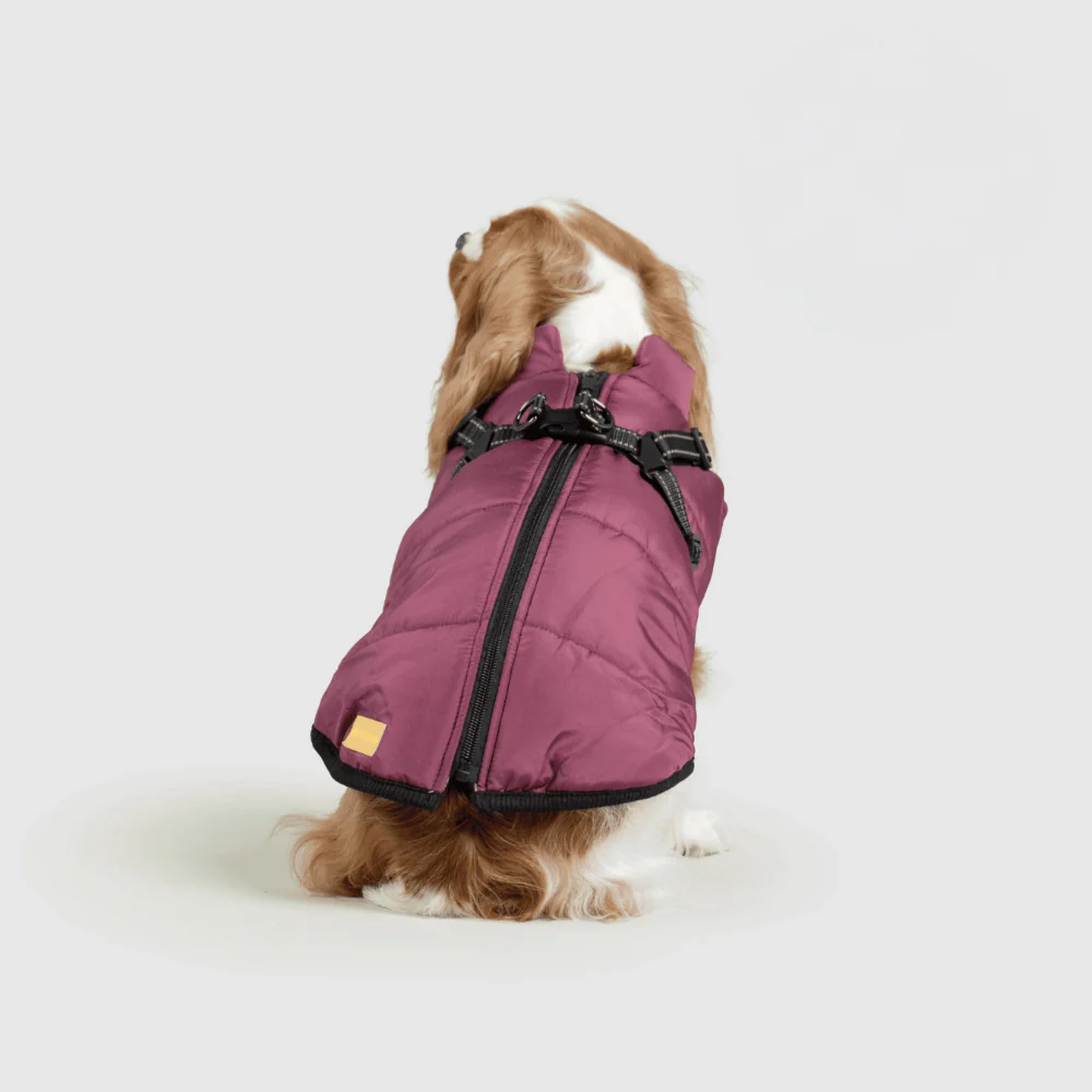 Dog Jacket Winter Outdoor Pet Coat - Image 8