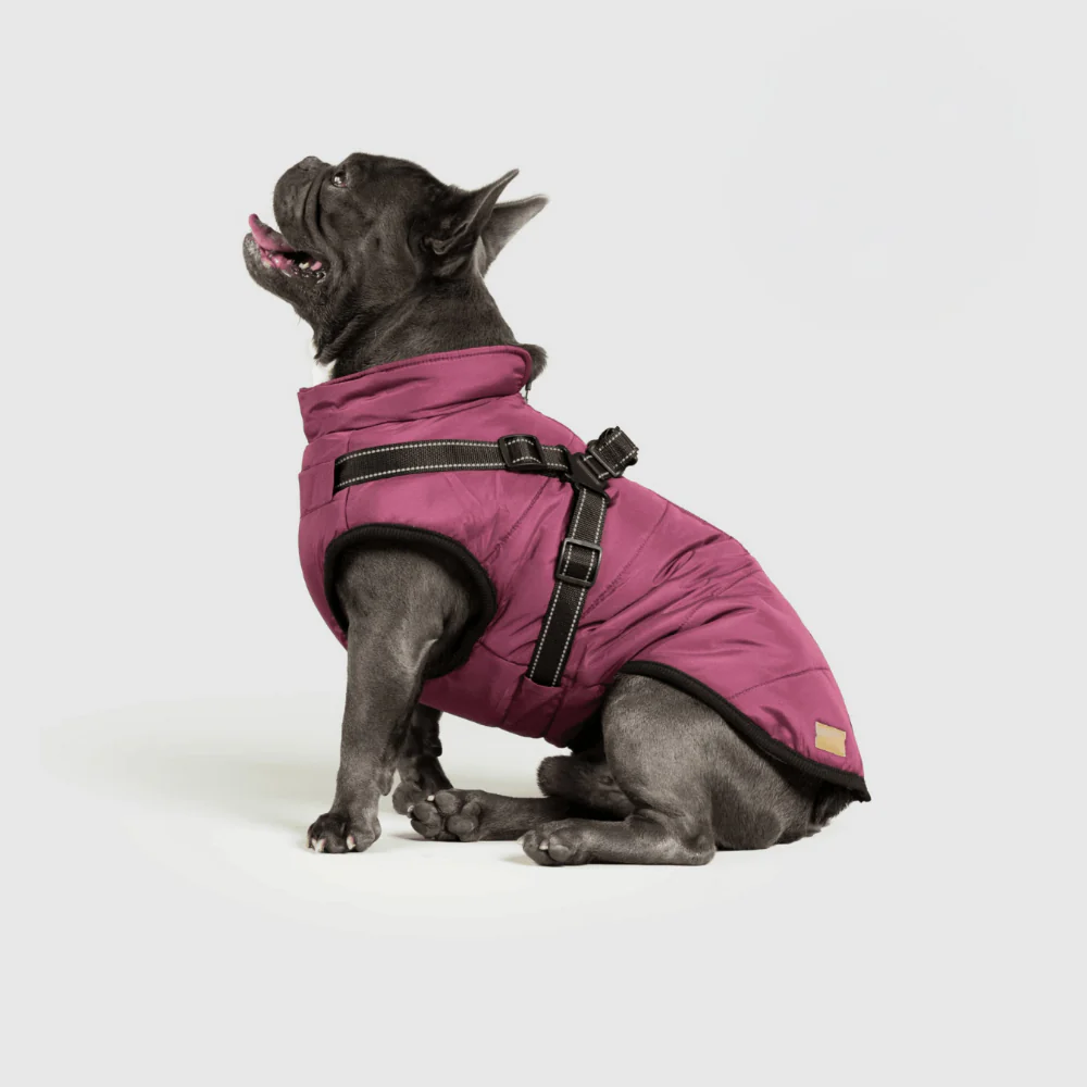 Dog Jacket Winter Outdoor Pet Coat - Image 9