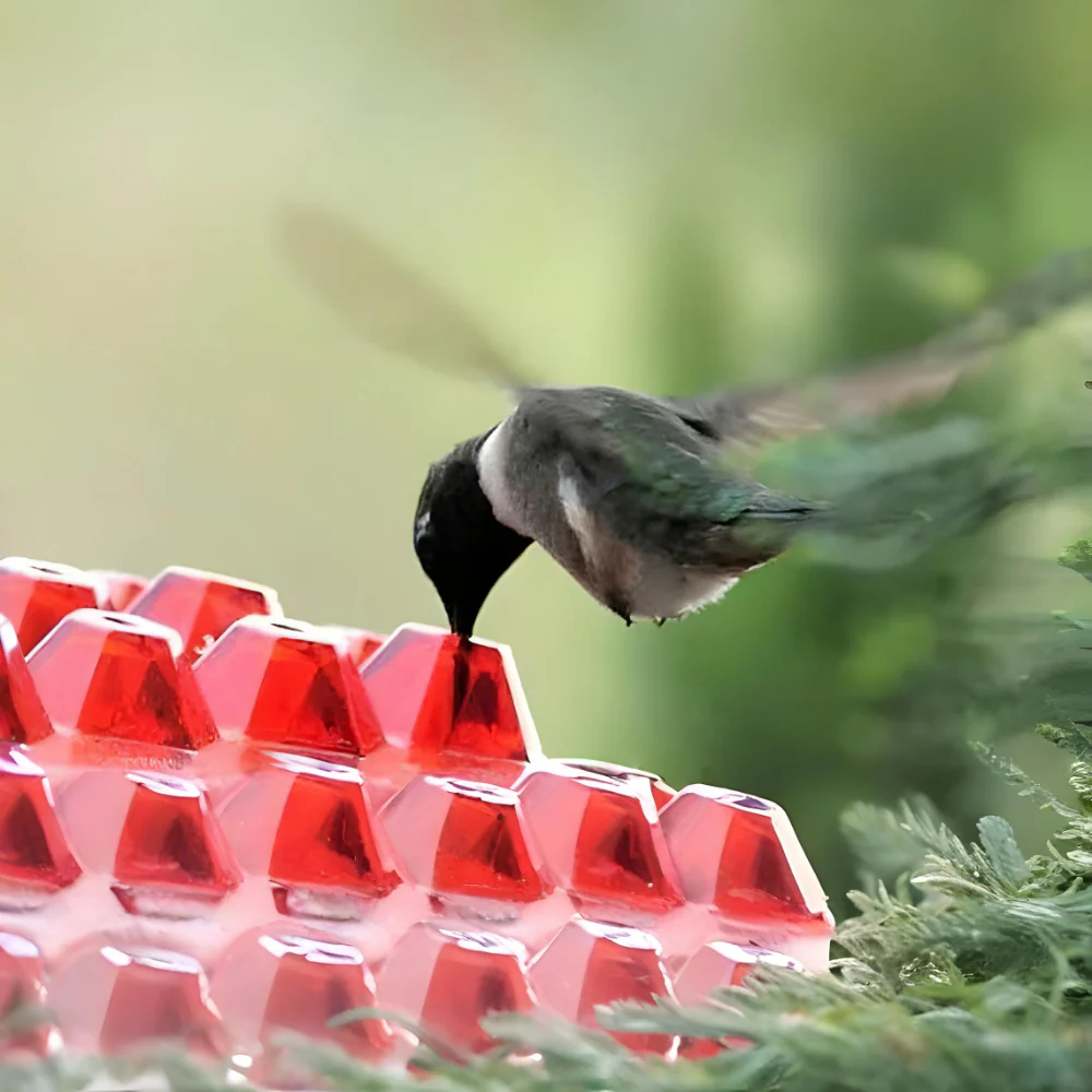 Hummingbird Feeder Nectar Hanging Garden Feeding Station - Image 5