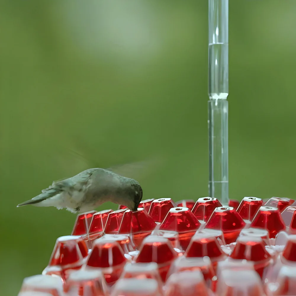 Hummingbird Feeder Nectar Hanging Garden Feeding Station - Image 7