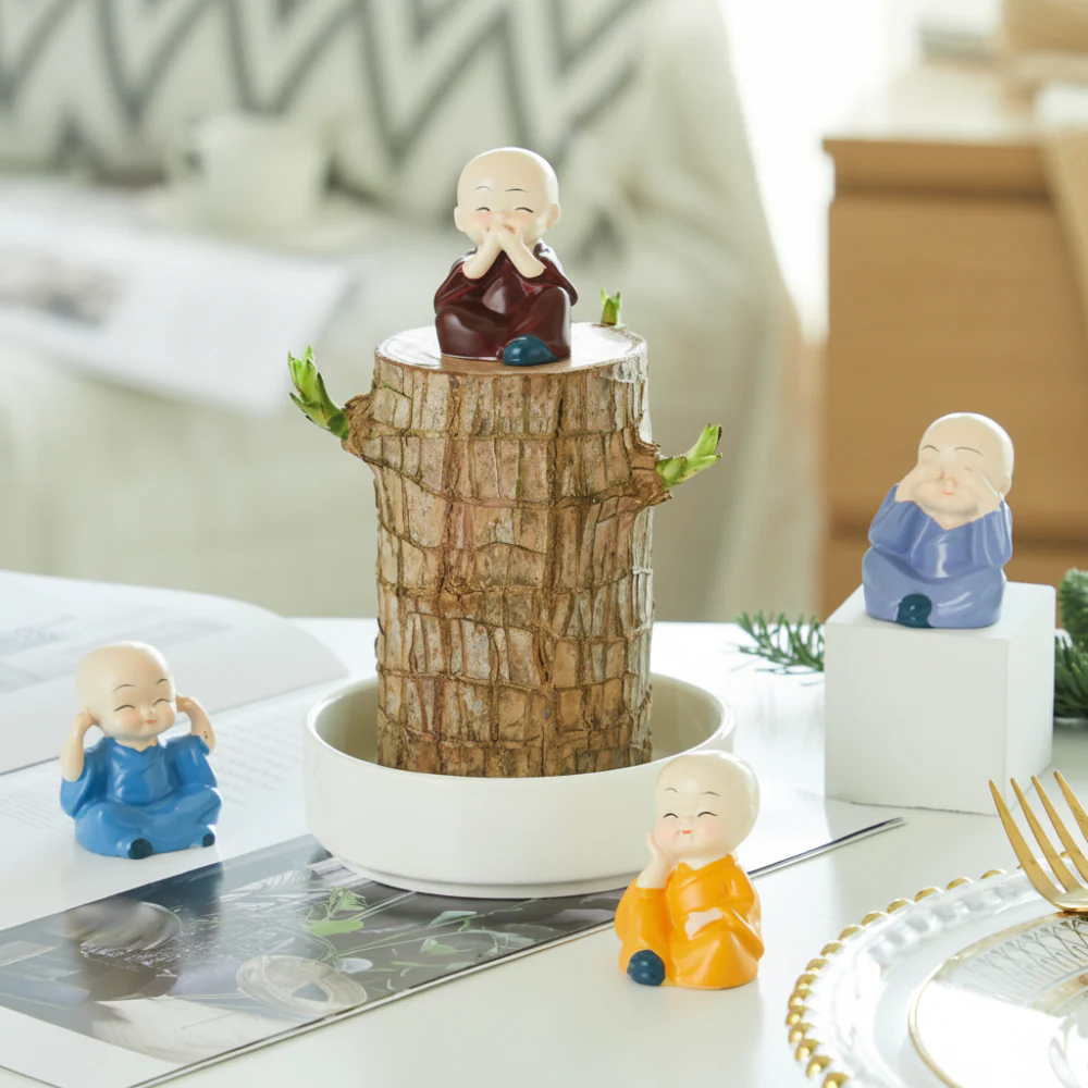 Lucky Bamboo Plant Decorative Pot Air Purification - Image 5